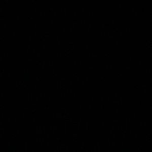 Meet your Posher, Cassidy